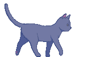 a walking kitty cat